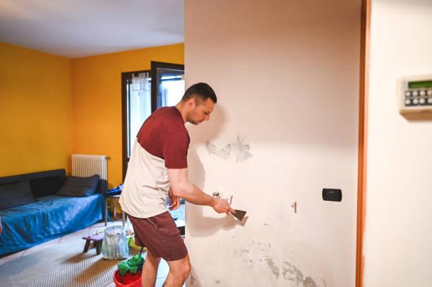 Best Mold Damage Repair  in St John, IN